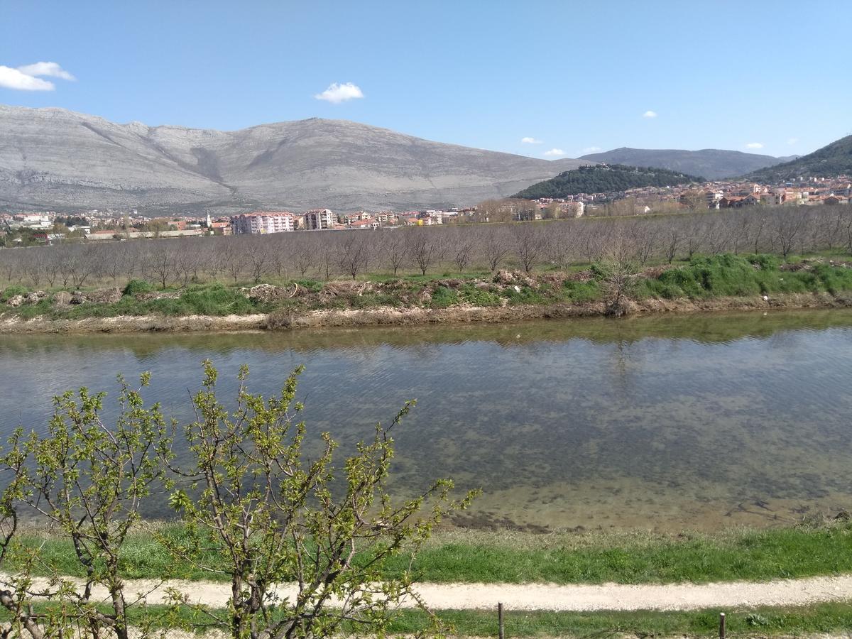 טרביניה Apartman Boki מראה חיצוני תמונה